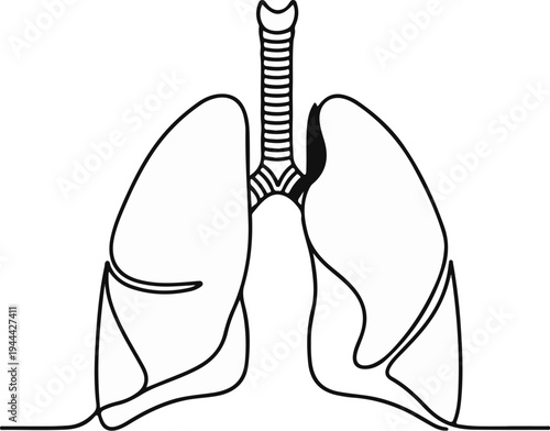 Line art illustration of human lungs and trachea