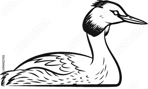 Line art of a bird with a crest on its head, a long neck, and a pointed beak