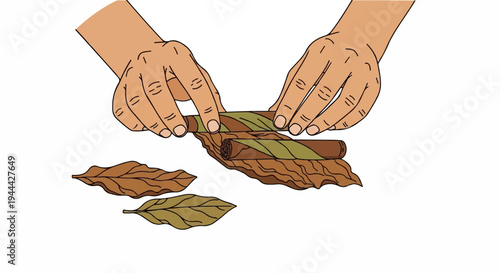 Hands skillfully roll tobacco leaves into cigars on a bed of dried leaves