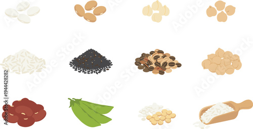 Flat vector illustration set of various dry legumes grains and seeds including chickpeas kidney beans rice peas and soybeans isolated on white background for healthy eating vegan diet and grocery.