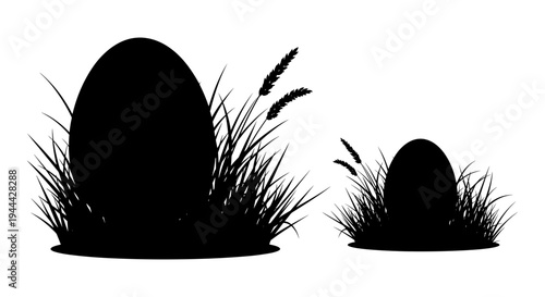 Two eggs nestled among tall grass in a serene natural setting Vector, illustration