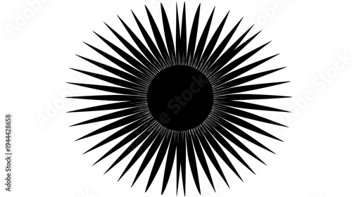 Black and white radial design, with a central dark circle and sharp radiating lines