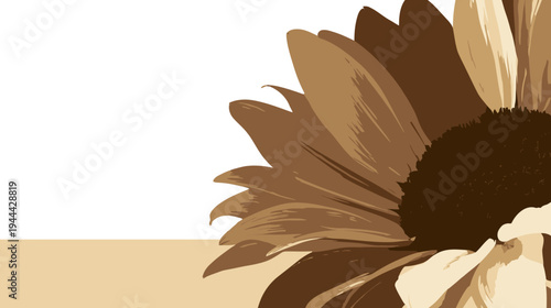 A partial view of a brown sunflower against a white background with a tan colored horizontal band
