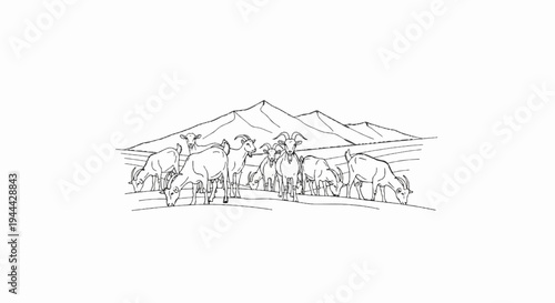 Herd of goats grazing in a field with mountains in background