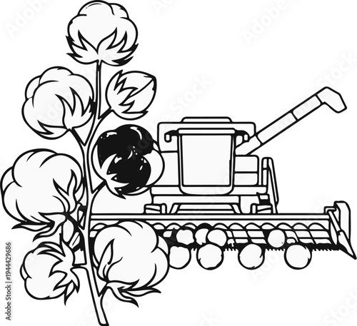 Farm machinery harvests fluffy cotton bolls on a plant