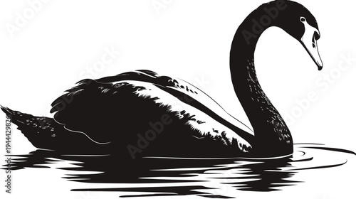 A striking vector illustration shows a black bird floating on water, its neck curved