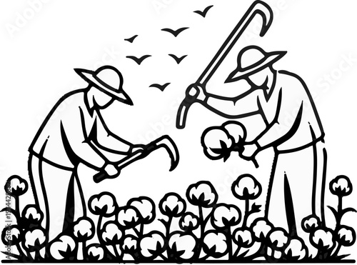 Farmers harvesting cotton with tools, birds overhead