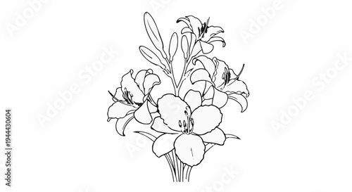 Elegant line drawing of a bouquet of lilies with buds and leaves