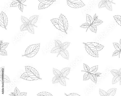 Mint leaves seamless pattern. Herbal mint foliage background. Fresh mint botanical repeat pattern. Aromatic herb leaves texture. Green culinary ingredient pattern. Natural herbal foliage wallpaper.