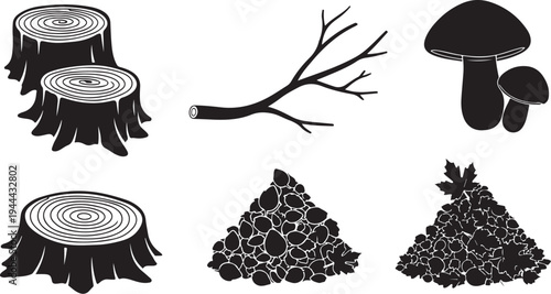 Black and white forest elements illustrations set