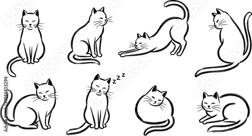 Cute Cat Pose Collection Vector Illustration Set with Sitting, Sleeping, Stretching, and Curled Kitty Characters in Hand Drawn Doodle Style