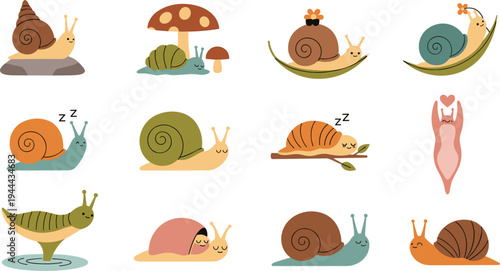 Cute snail cartoon characters collection with mushrooms and leaves, adorable garden mollusk vector illustration set for kids nature design