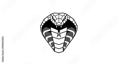 Black and white cobra head closeup.