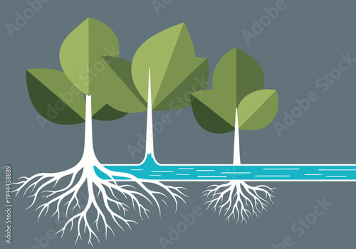 Illustrative diagram showcases plant water purification with nutrient blocks, highlighting roots and a flowing river. Clean, modern design for educational or informational visuals.
