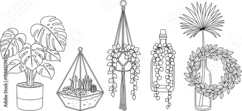 Houseplants and hanging plants line art vector collection monstera succulent macrame planter bottle vase botanical illustration set