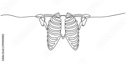 Continuous one line drawing of human rib cage. The ribs single line art vector illustration. Editable stroke, One line draws the anatomy of the chest. Human organ concept. Graphic vector illustration