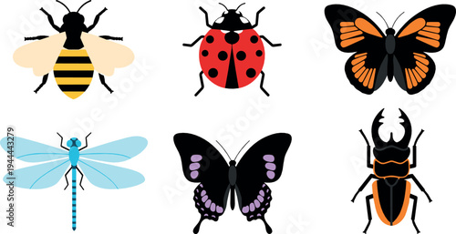 Insect vector set with bee, ladybug, butterfly, dragonfly and beetle colorful nature bugs illustration collection