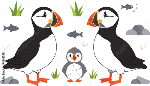Cute puffin birds with baby chick and ocean elements cartoon seabird vector illustration set