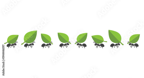 A line of ants carrying green leaves across a white background creates a whimsical illustration silhouette high quality professional detailed modern