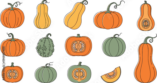 Pumpkin and squash vector set with different autumn gourds hand drawn style harvest vegetables illustration collection