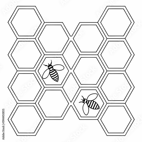 Honeycomb with bees insects hive nature