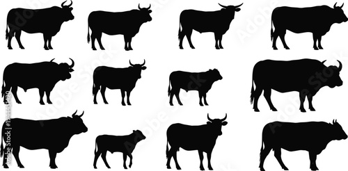 Cow and Bull Silhouette Set with Cattle, Calf and Farm Animals Collection for Agriculture, Livestock Farming, Butcher Shop and Ranch Design