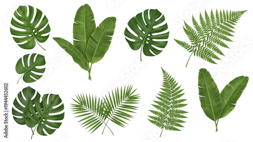 Various green leaves are displayed on a white background for design purposes.