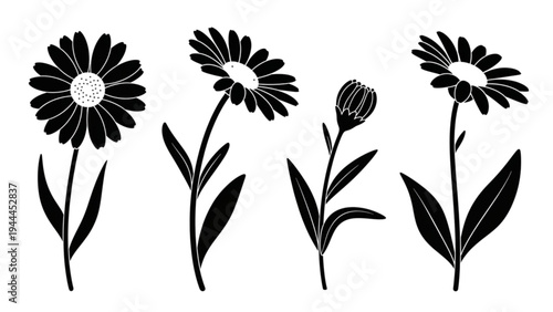 Four black flower silhouettes with leaves on white background grow naturally