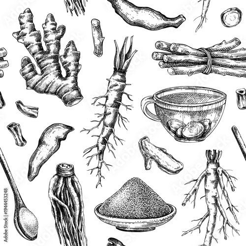 Traditional medicine herbs background. Medicinalroots hand drawn vector illustrations. Vinatge apothecary seamless pattern. NOT AI generated.