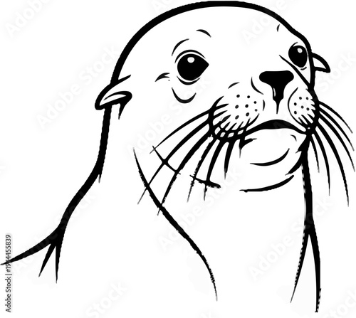 A black and white sketch of a seal's head and upper body, looking to the right
