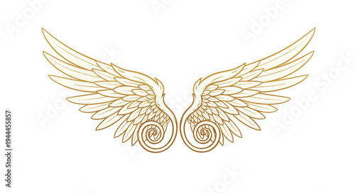 Pair of ornate golden angel wings with intricate feather details and spiral accents is symmetrically arranged on a white background.