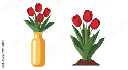 Red tulips are shown both as a floral arrangement in a yellow vase and growing naturally from a patch of dark soil.