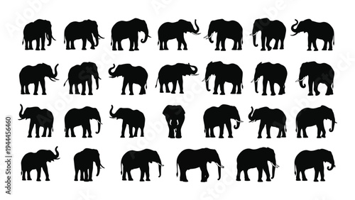 Detailed analysis of elephant silhouettes in various poses and orientations