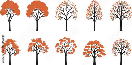 Autumn Tree Collection with Orange Fall Foliage, Seasonal Forest Trees, Maple Style Leaves, and Decorative Nature Silhouette Vector Set