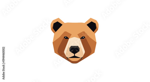 Brown bear head close up face.