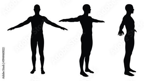Human silhouettes in various poses for reference and anatomy study