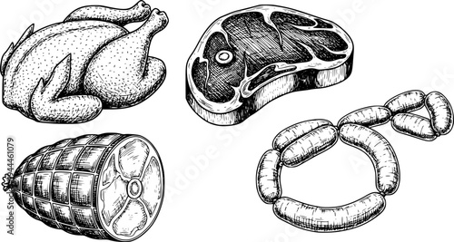 Fresh farm meat products. Hand drawn illustration for butcher shop or restaurant menu. Sketch engraved style