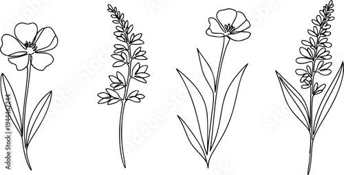 Flower set continuous line drawing. Plants one line illustration. Minimalist Prints vector illustration
