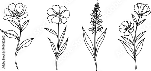 Flower set continuous line drawing. Plants one line illustration. Minimalist Prints vector illustration
