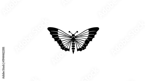 Elegant black and white butterfly vector illustration with detailed wings on a clean background, a graceful monochrome insect design.