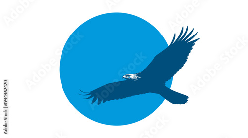 Majestic blue eagle flying in silhouette against a vibrant blue circle. Powerful bird of prey vector illustration.
