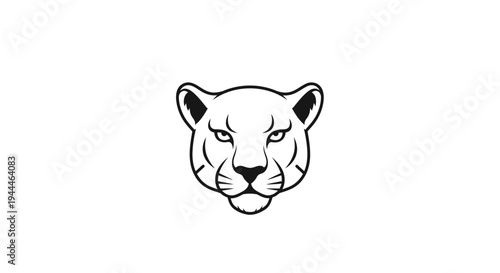 Close-up of a lioness face.