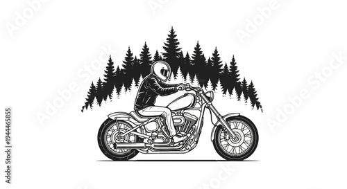 Rider on a motorcycle, silhouetted pine trees in the background