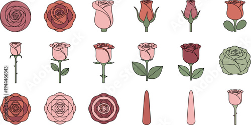 Rose Flower Botanical Vector Set with Blooming Roses, Buds, and Floral Elements for Garden, Wedding, and Nature Illustration Collection