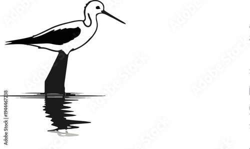 Minimalist line art of a wading bird with a long beak
