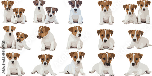 Cute Jack Russell Terrier Puppy Poses Collection Vector Illustration Set, Adorable Dog Character Sitting Standing Playing Isolated on White Background