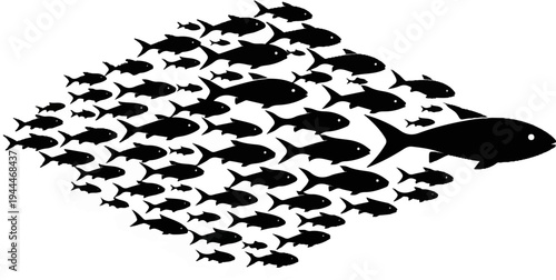 A large school of black fish swims together on a white background