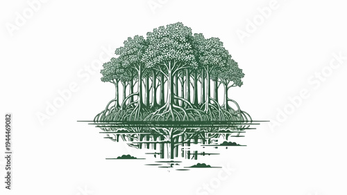 A dense cluster of mangrove trees with intricate aerial roots