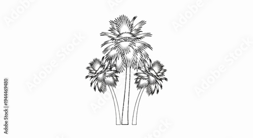 A minimalist line drawing of three palm trees clustered together on a white background