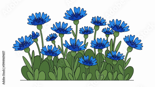 A cluster of bright blue wildflowers with green stems and leaves on a white background